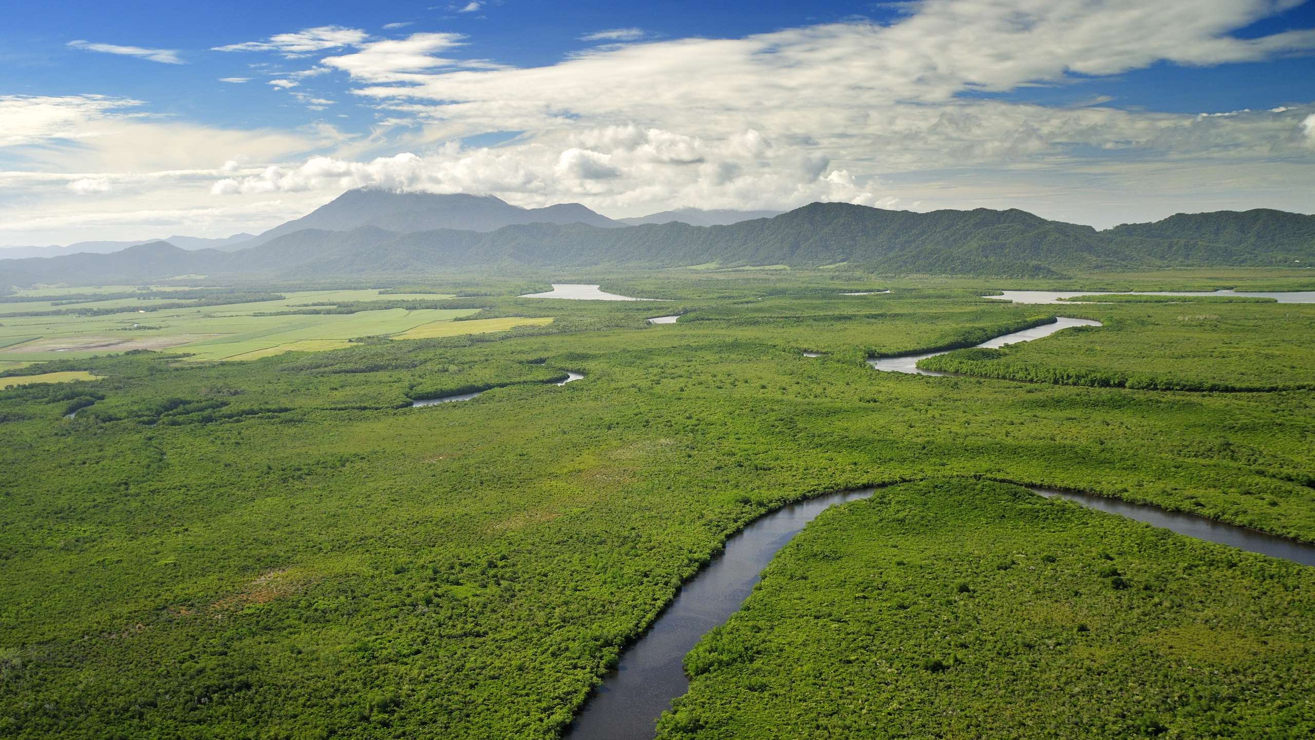 daintree cruises