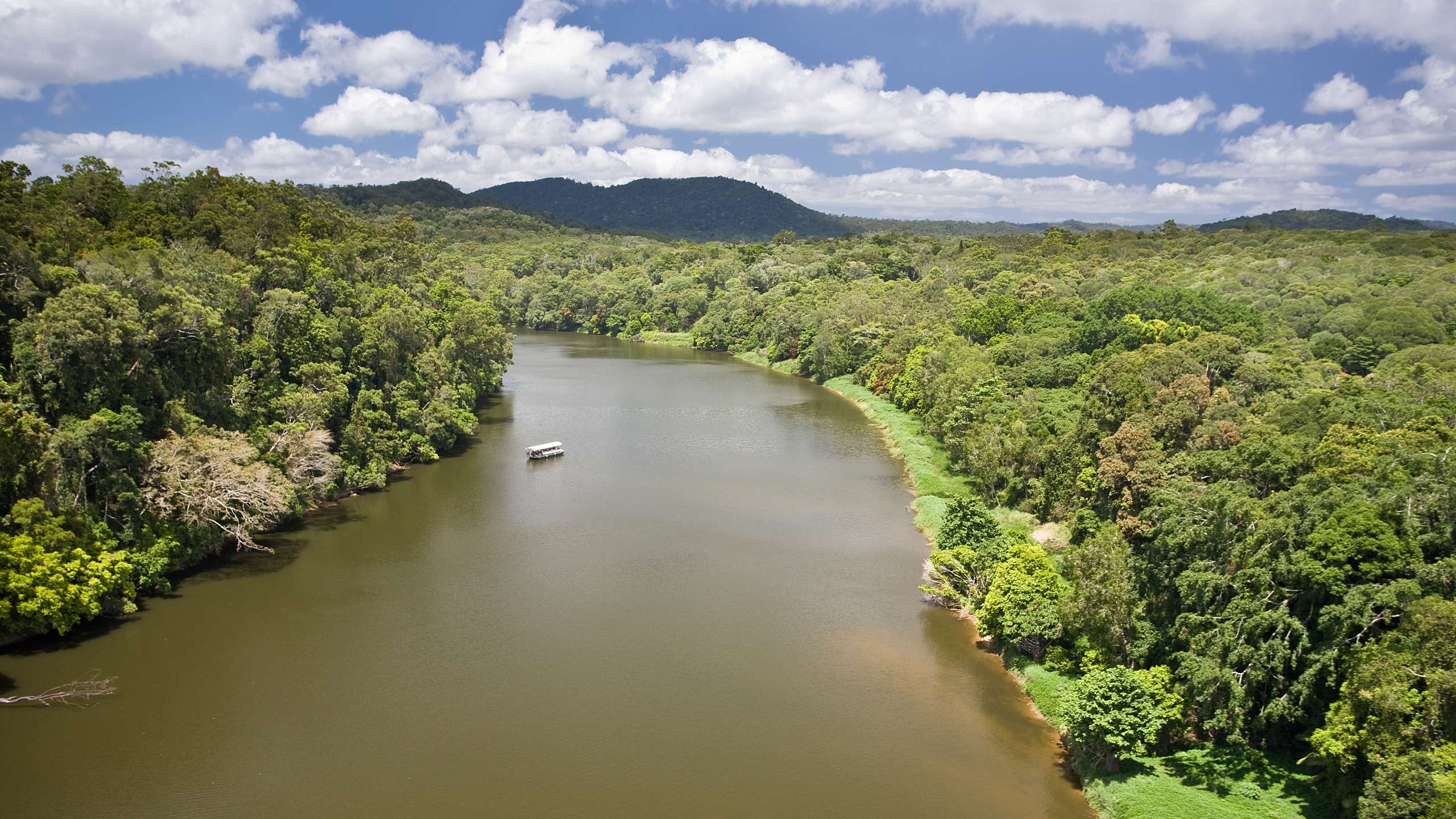 daintree river cruise centre