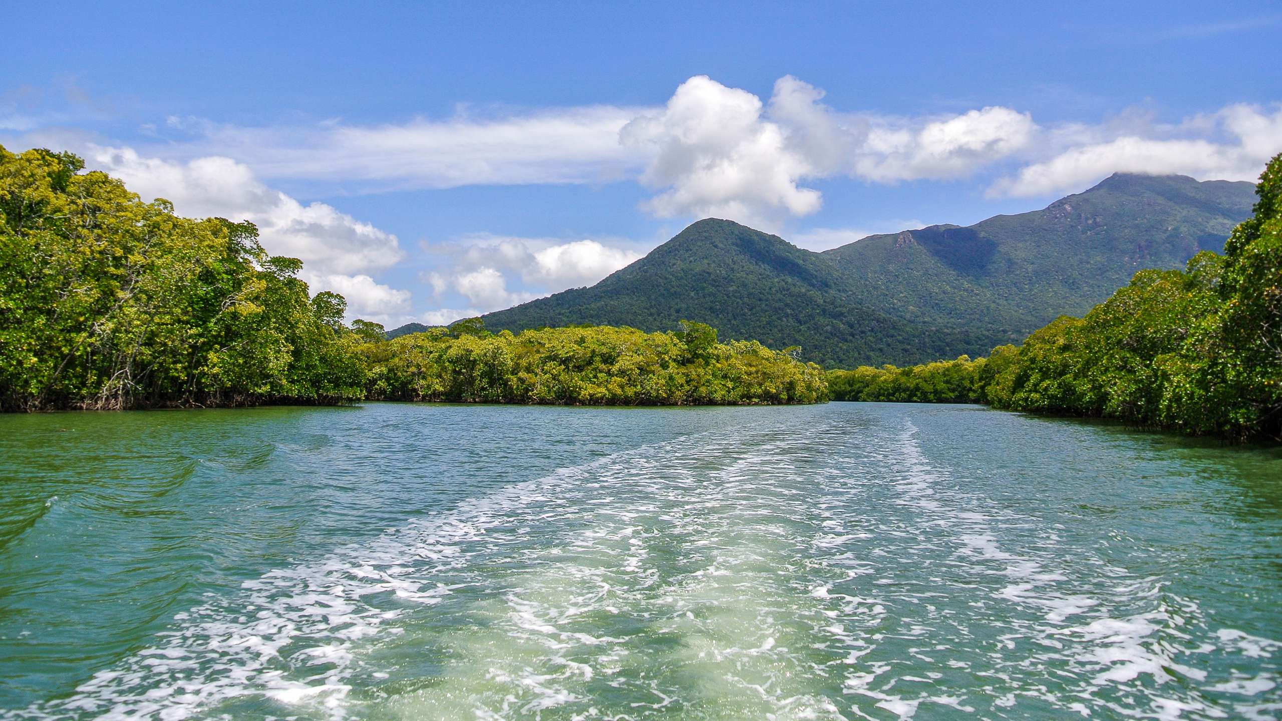 daintree river tours