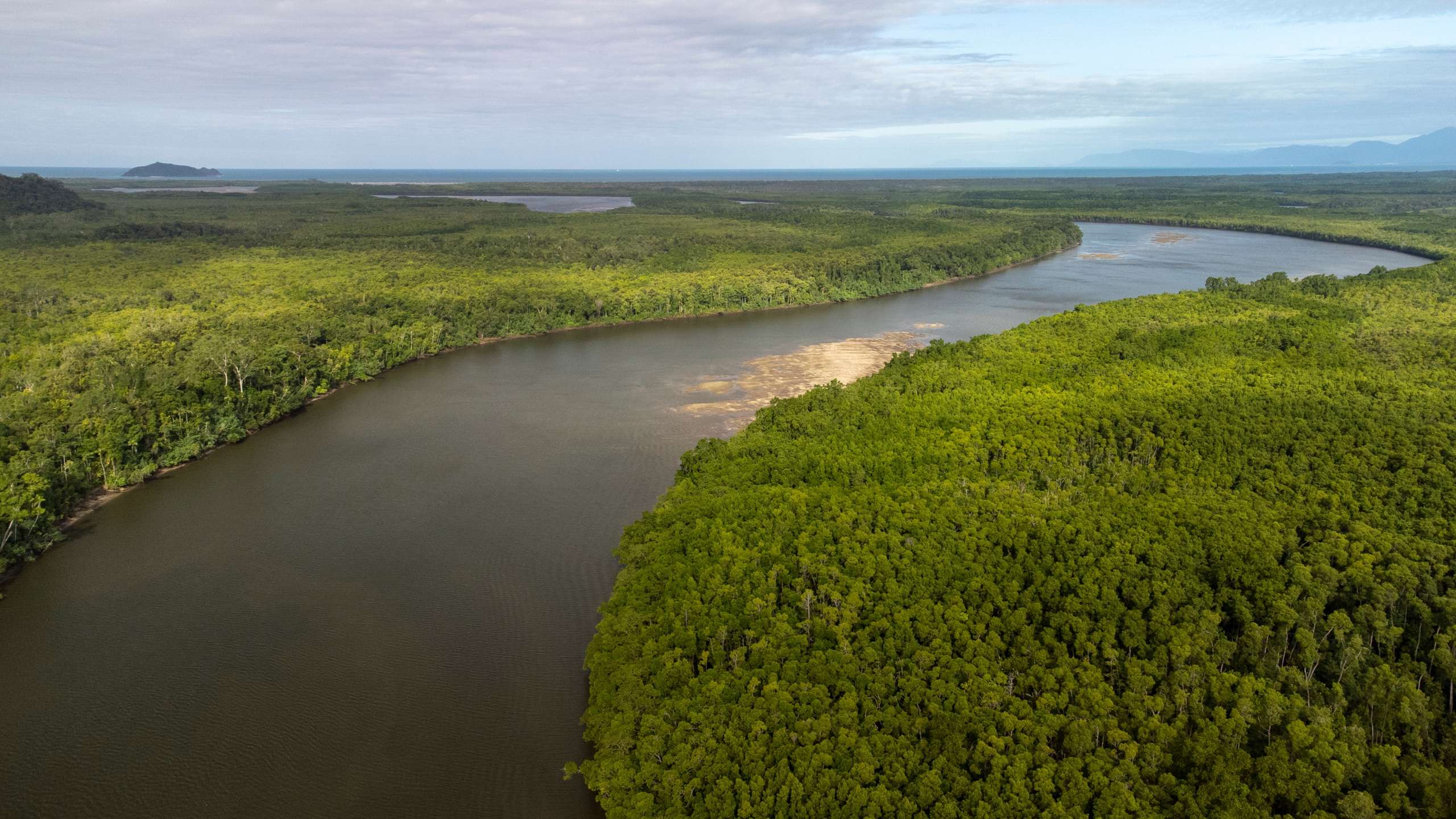 cruises daintree